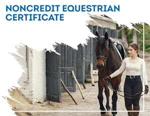 Noncredit Equestrian Certificate