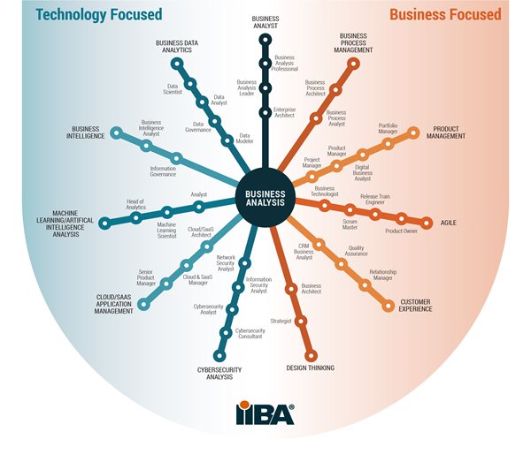 Technology Focused and Business Focused Business Analysis Branches